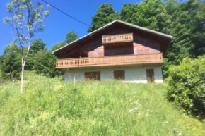 Nice peaceful cottage with garden and balcony